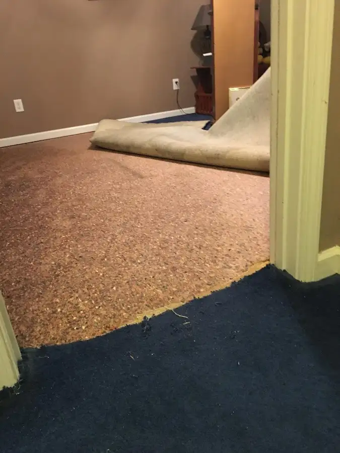 Carpet pad removal revealing water damage during Drying & Dehumidification in Dundalk